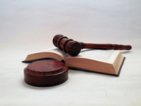 Criminal Convictions and DBS Checks