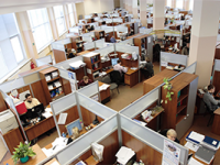 Right to Work Checks and DBS