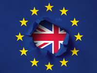 Brexit and DBS Checks