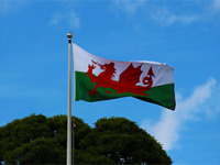 New Welsh Application Route for DBS