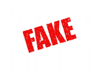 Fake Documents and DBS Checks